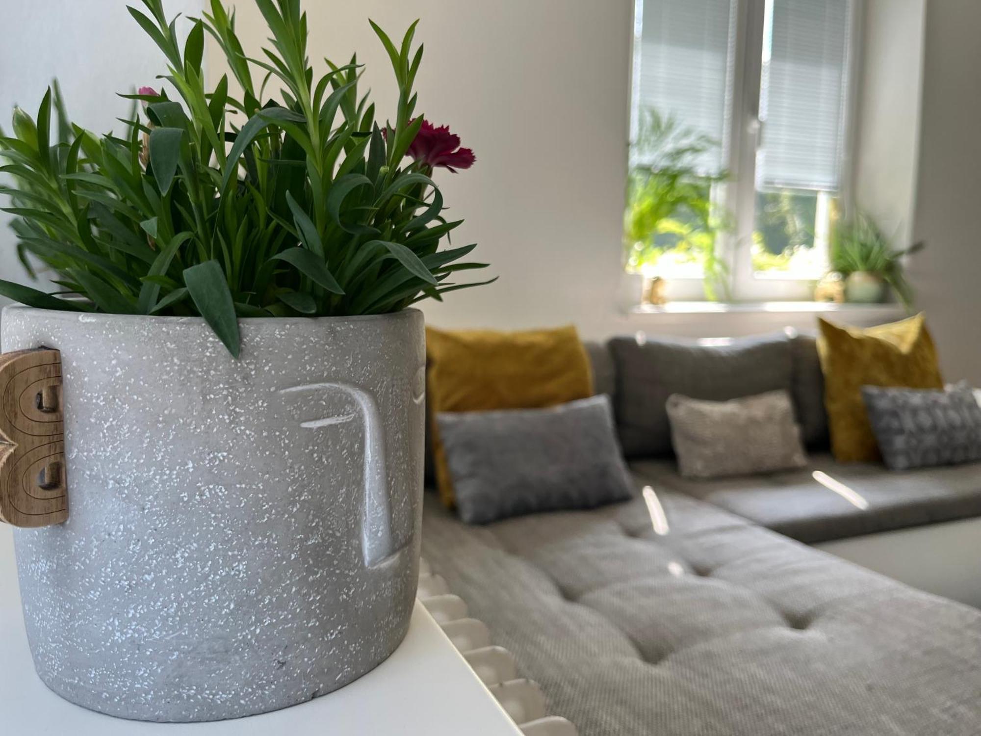 Ferienhaus Privat *